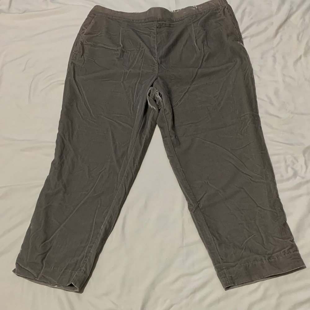 Ann Taylor Light Silver Gray Pants